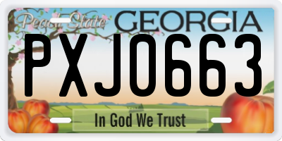 GA license plate PXJ0663