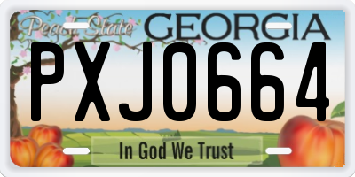 GA license plate PXJ0664
