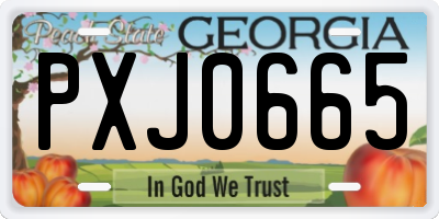 GA license plate PXJ0665