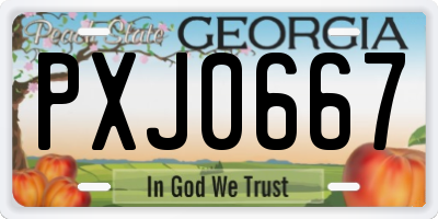 GA license plate PXJ0667