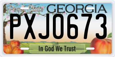 GA license plate PXJ0673