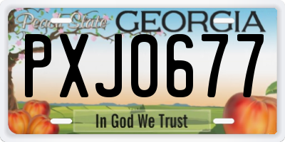 GA license plate PXJ0677