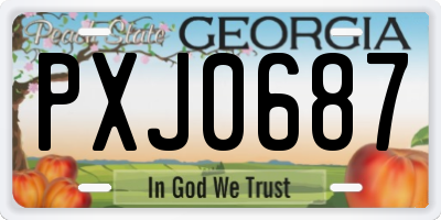 GA license plate PXJ0687