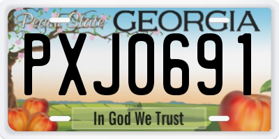 GA license plate PXJ0691