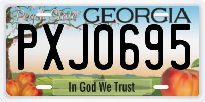 GA license plate PXJ0695