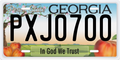 GA license plate PXJ0700