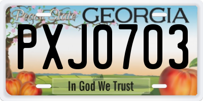 GA license plate PXJ0703