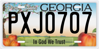 GA license plate PXJ0707
