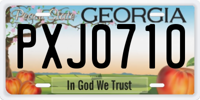 GA license plate PXJ0710