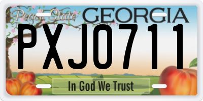 GA license plate PXJ0711