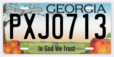 GA license plate PXJ0713