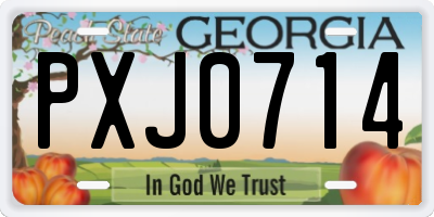 GA license plate PXJ0714