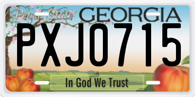 GA license plate PXJ0715