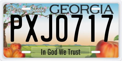 GA license plate PXJ0717