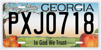 GA license plate PXJ0718