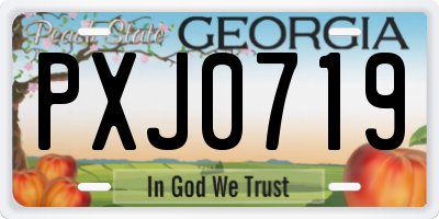 GA license plate PXJ0719