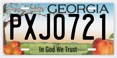 GA license plate PXJ0721