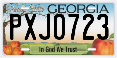 GA license plate PXJ0723