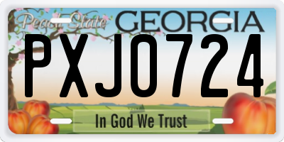 GA license plate PXJ0724