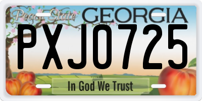 GA license plate PXJ0725
