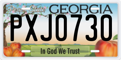 GA license plate PXJ0730