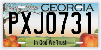 GA license plate PXJ0731