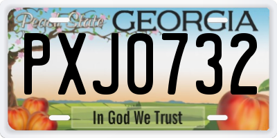 GA license plate PXJ0732