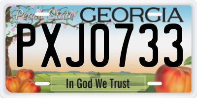 GA license plate PXJ0733