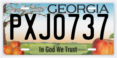 GA license plate PXJ0737