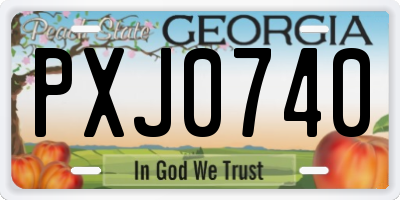GA license plate PXJ0740