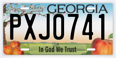 GA license plate PXJ0741