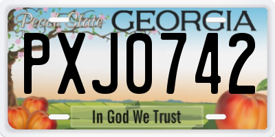 GA license plate PXJ0742