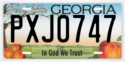 GA license plate PXJ0747
