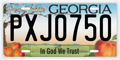 GA license plate PXJ0750