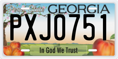 GA license plate PXJ0751