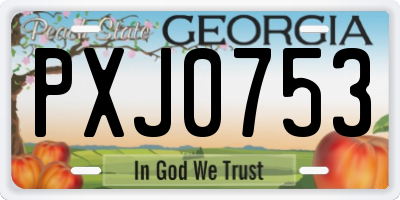 GA license plate PXJ0753