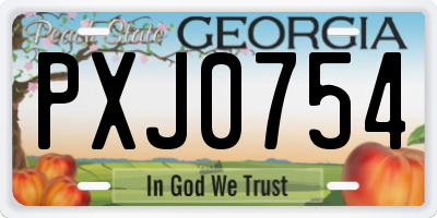 GA license plate PXJ0754