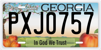 GA license plate PXJ0757