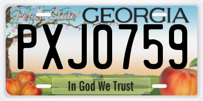 GA license plate PXJ0759