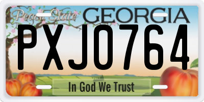 GA license plate PXJ0764