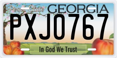 GA license plate PXJ0767