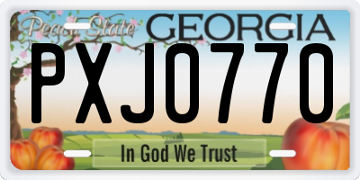 GA license plate PXJ0770