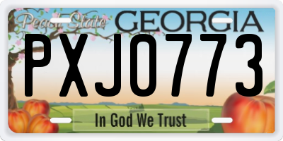 GA license plate PXJ0773