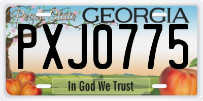 GA license plate PXJ0775