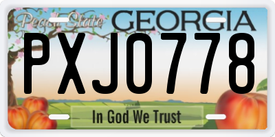 GA license plate PXJ0778