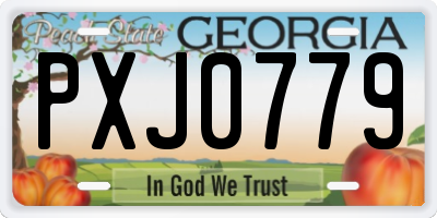 GA license plate PXJ0779