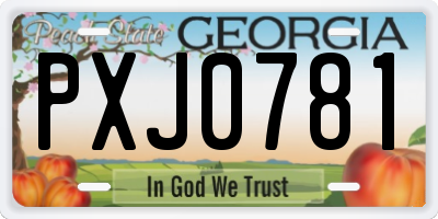 GA license plate PXJ0781