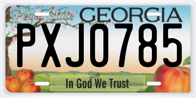 GA license plate PXJ0785