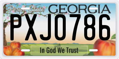 GA license plate PXJ0786