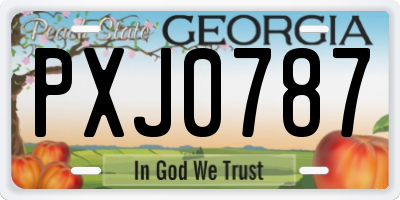 GA license plate PXJ0787